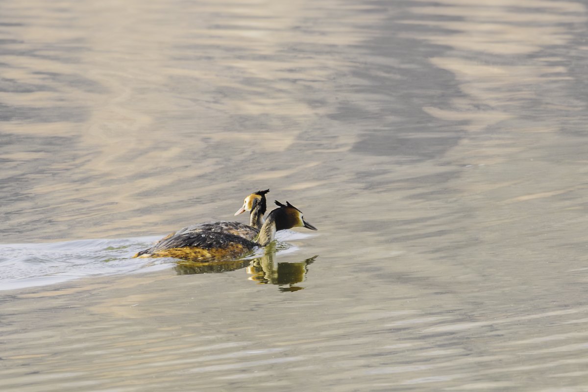 _P7A7933-향상됨-노이즈 감소.jpg