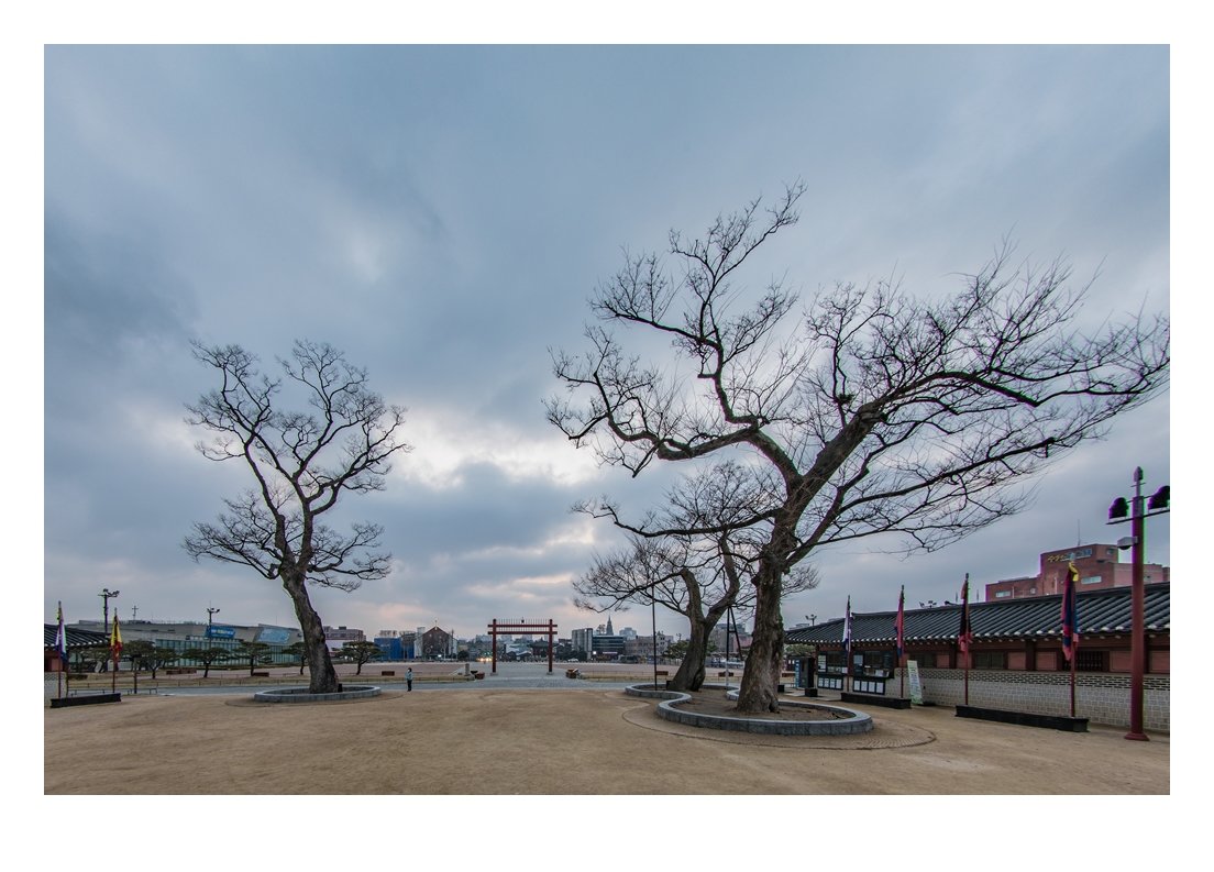 4J1A8222 편집1-4 편집2.JPG