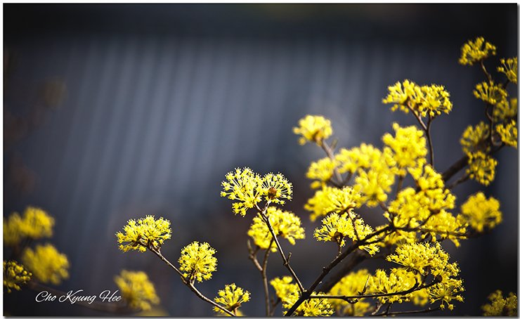 봉은사 11-1c1mb.jpg