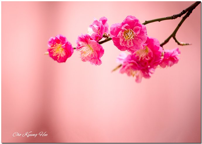 봉은사 21-1c1mb.jpg