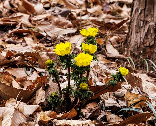 230308-제목 없는 촬영 프로젝트-3713.jpg