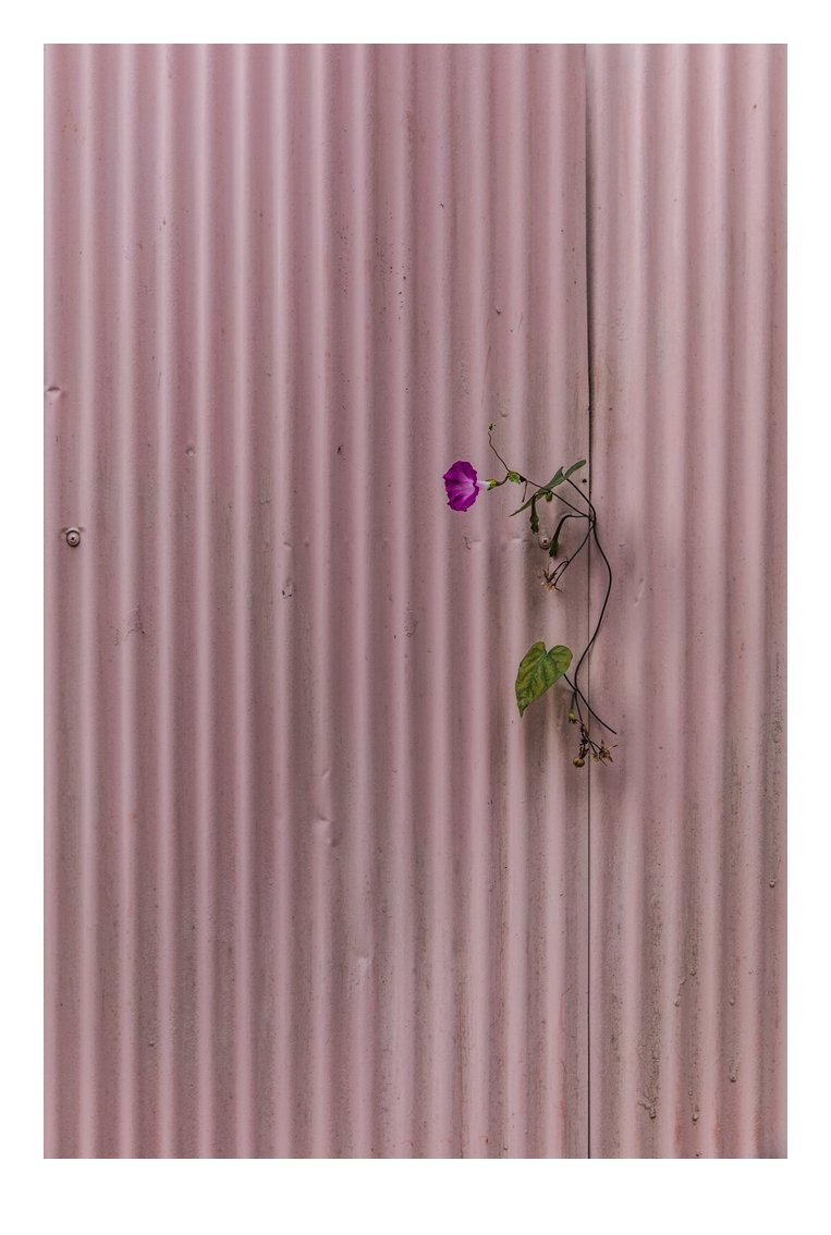 4J1A6673 편집1-2 편집2.JPG