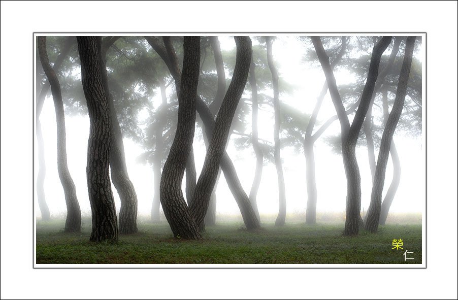 _DSC4068 박스 한자.jpg