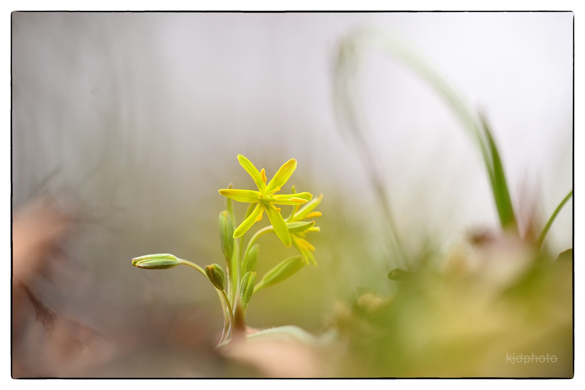 2018-03-28 12-56-53-34-12.jpg