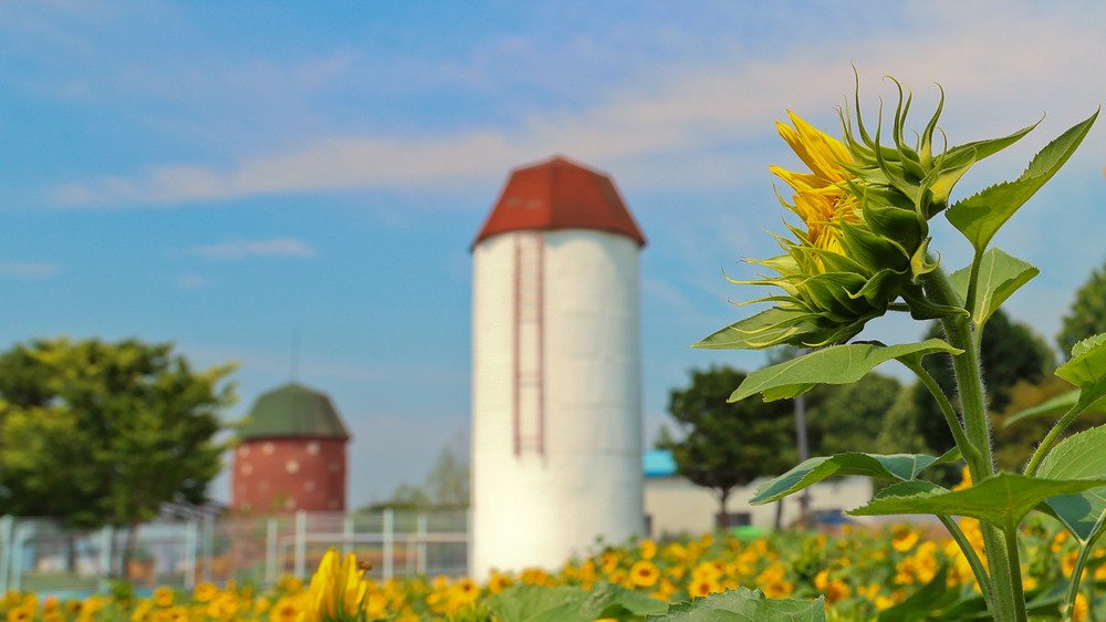 탑동 시민공원.jpg