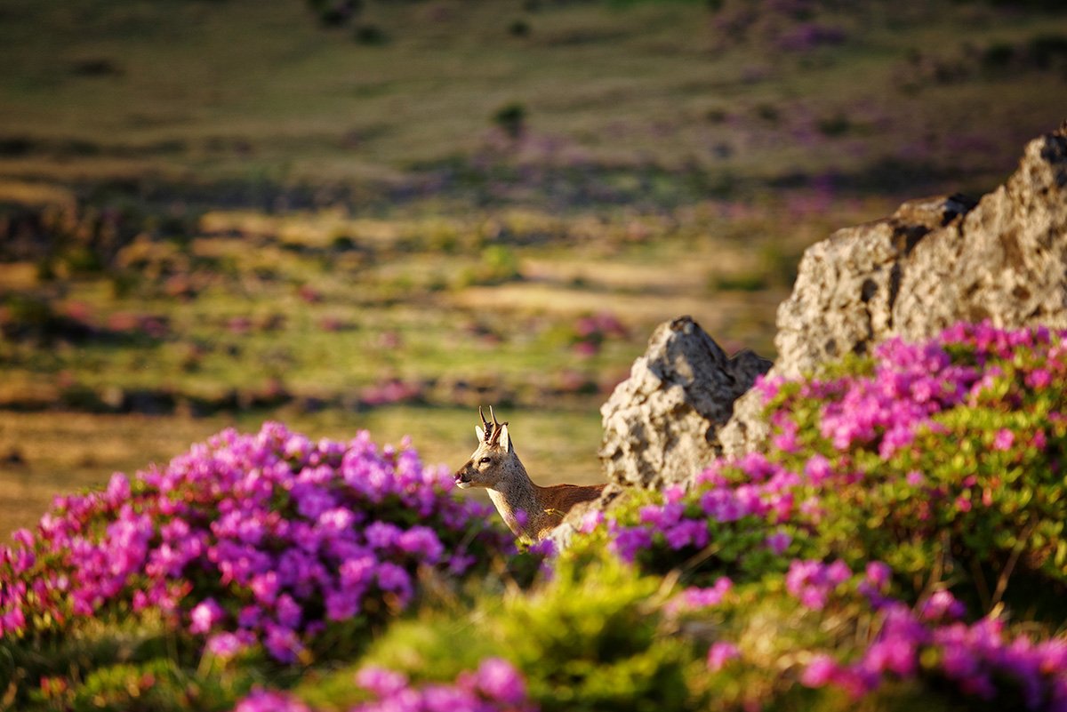 20160531 055651-110D-12.jpg