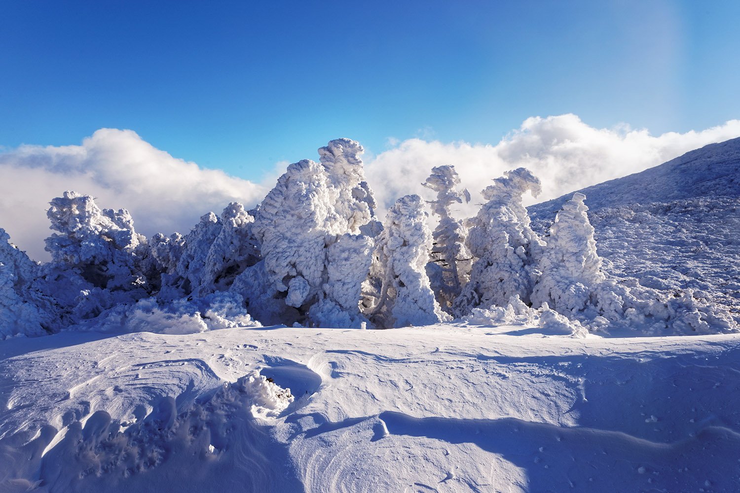 20160217 170656-435D-15.jpg