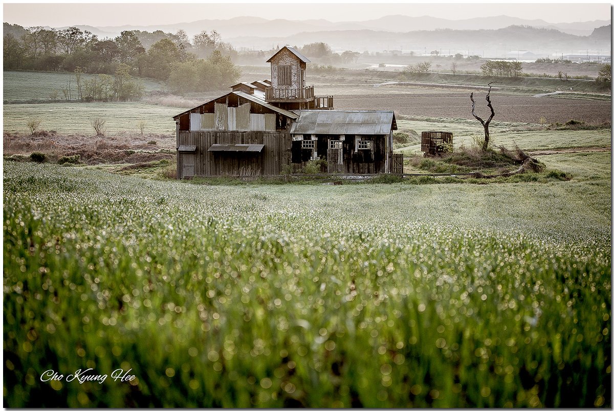 안성팜랜드 7-1수사.jpg
