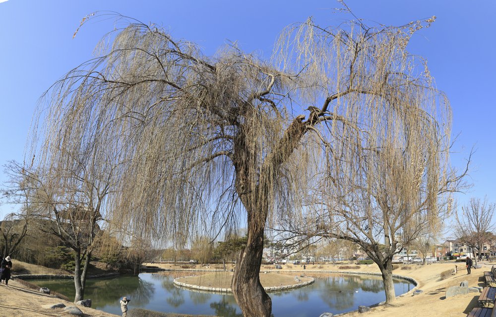 제목 없음_파노라마1.jpg