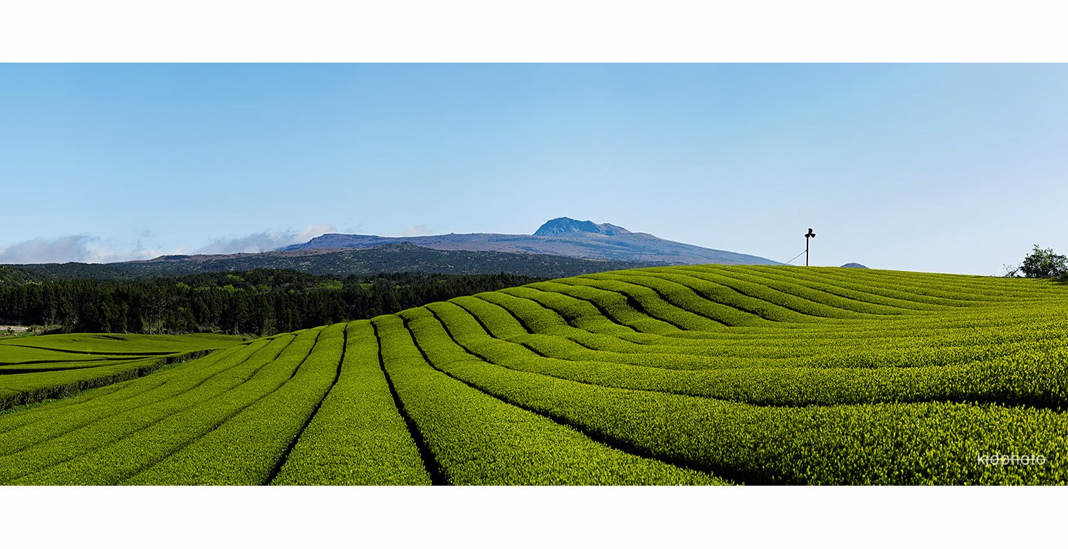 DSC_1382D Panorama-16.jpg