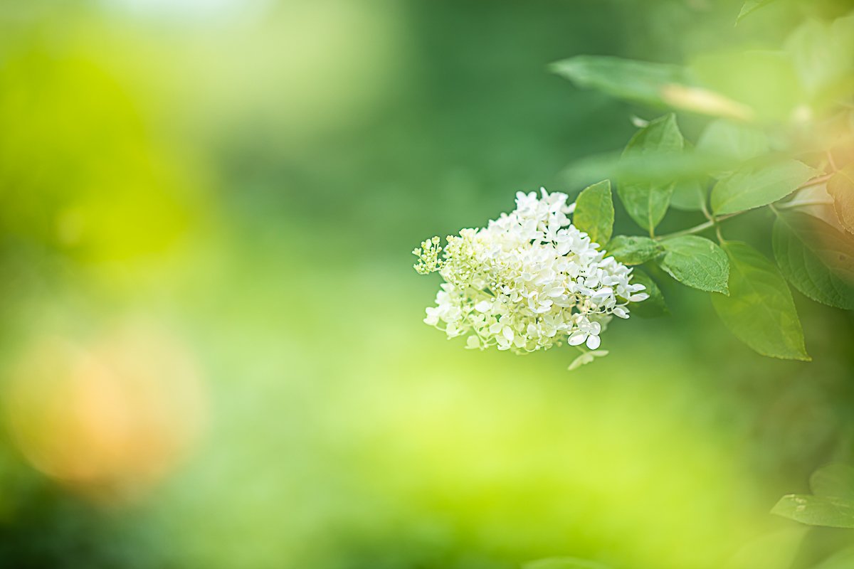 20190825 - 다중촬영 - 875A3458-2.jpg