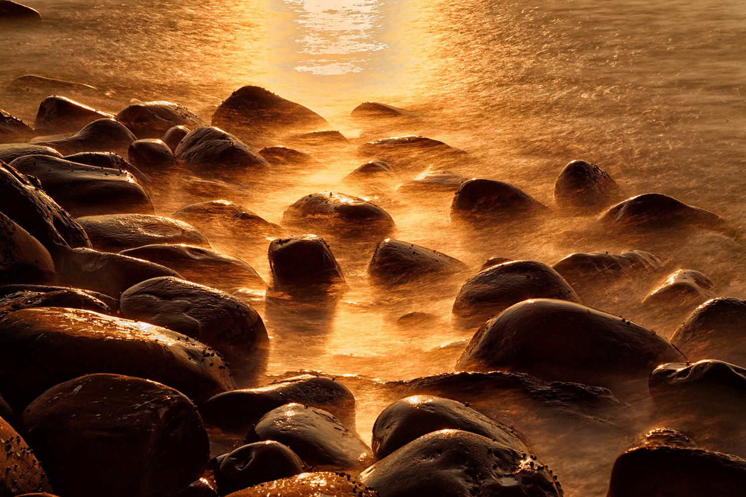 2016-11-04 07-40-03-725D-15.jpg