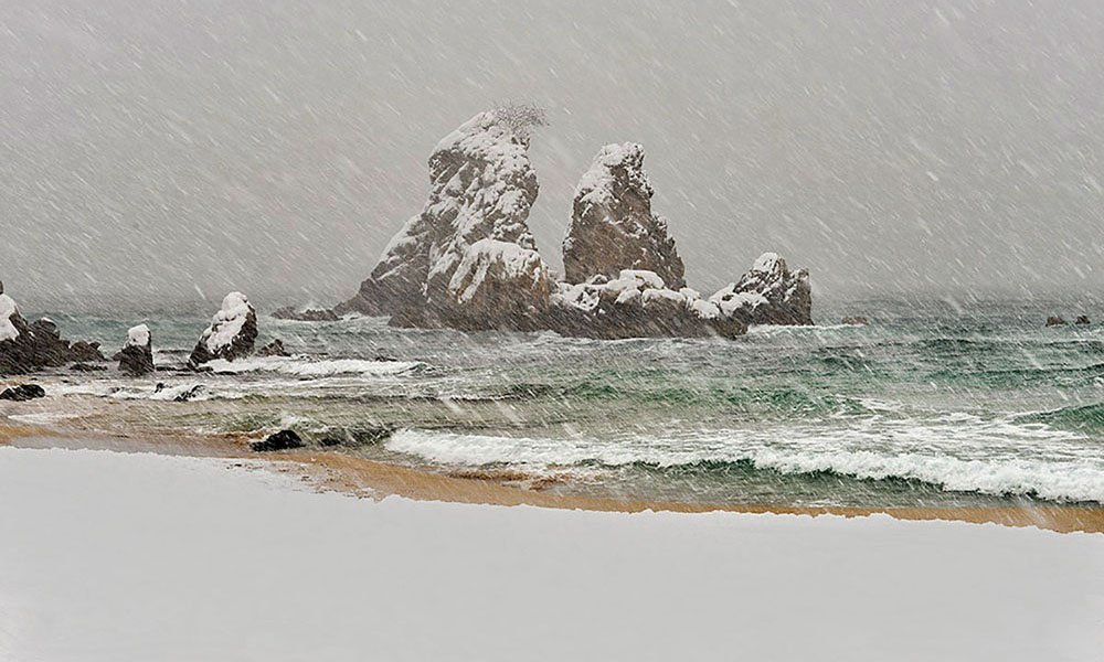 제목 없음-1000수사클-.jpg