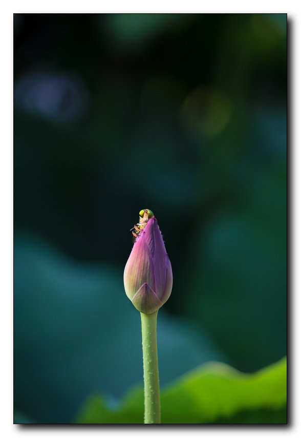 또다른 시선.jpg