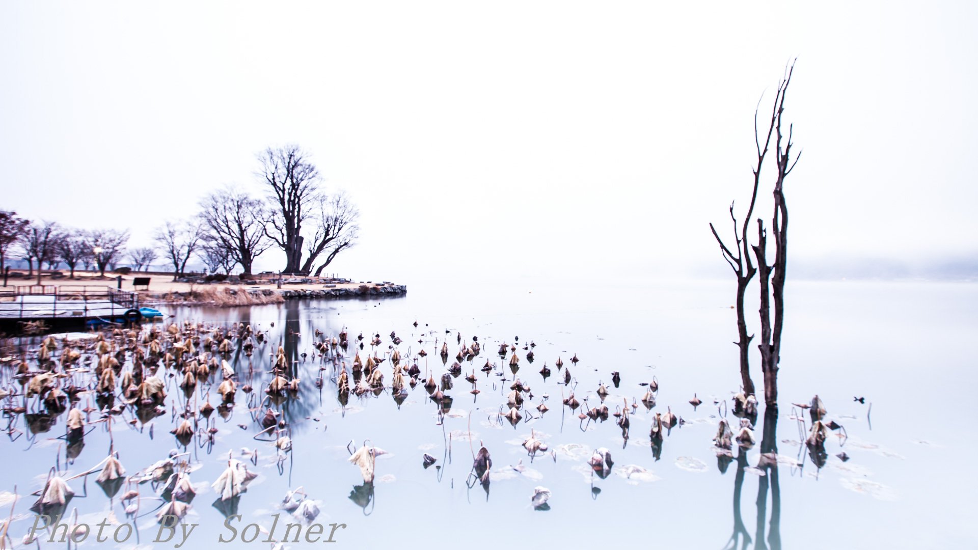 171202-제목 없음-7.jpg