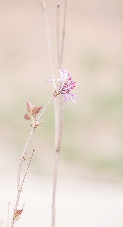 insta 봄 소풍 3-1.jpg