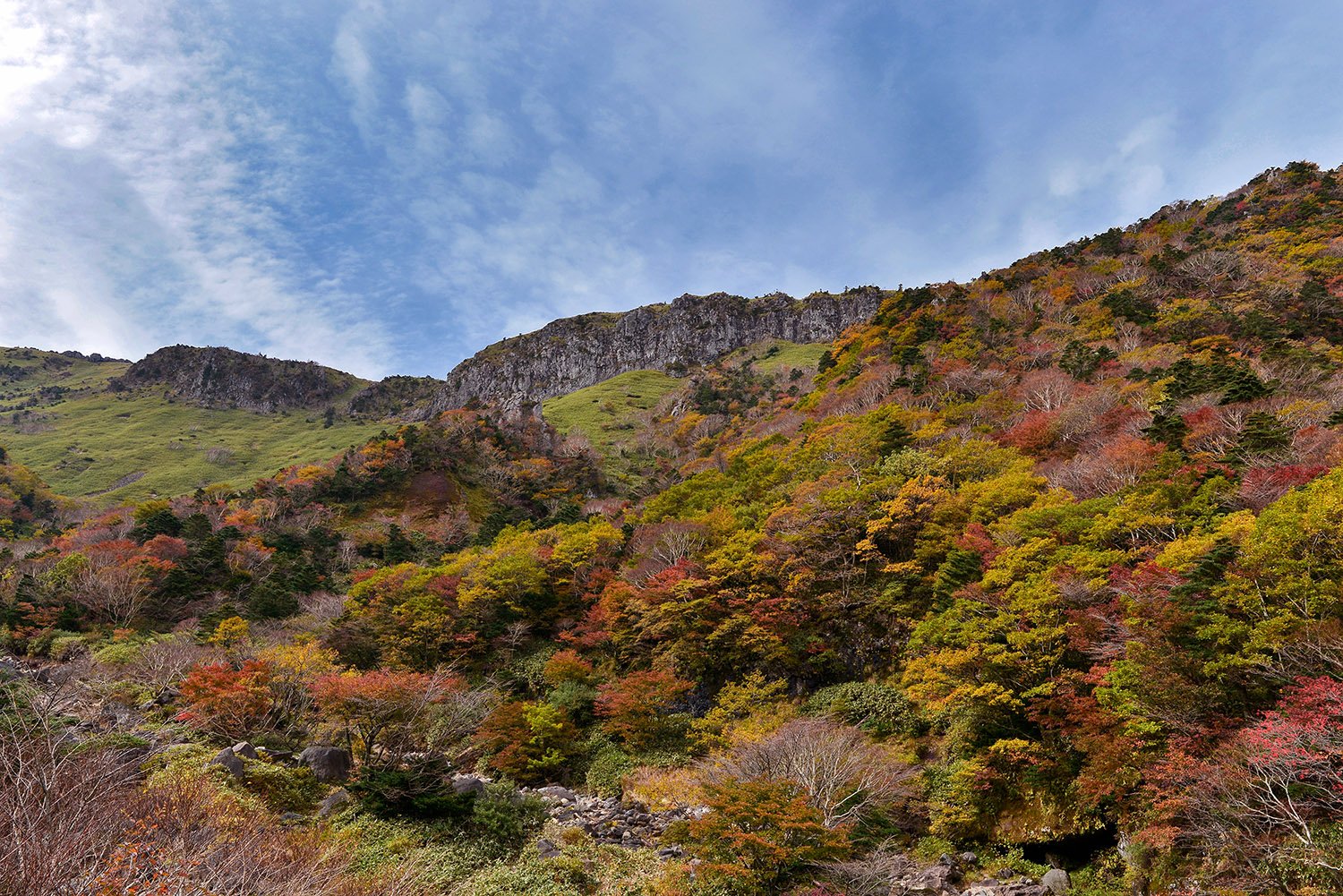 2016-10-15 11-01-49-39-15.jpg