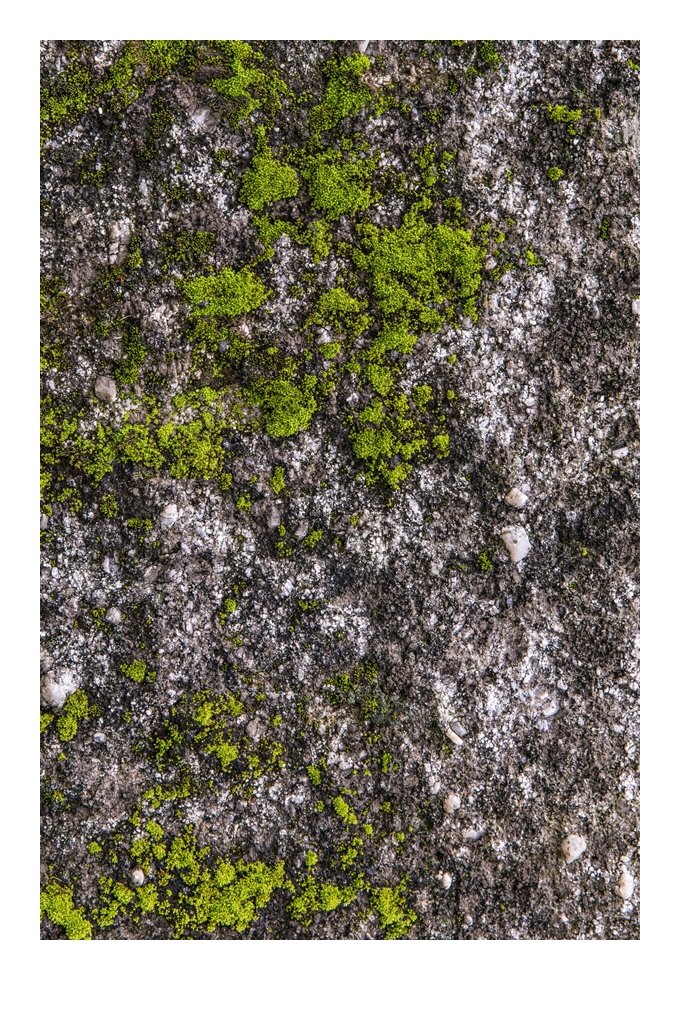 4J1A1936 편집1-4 편집5.jpg