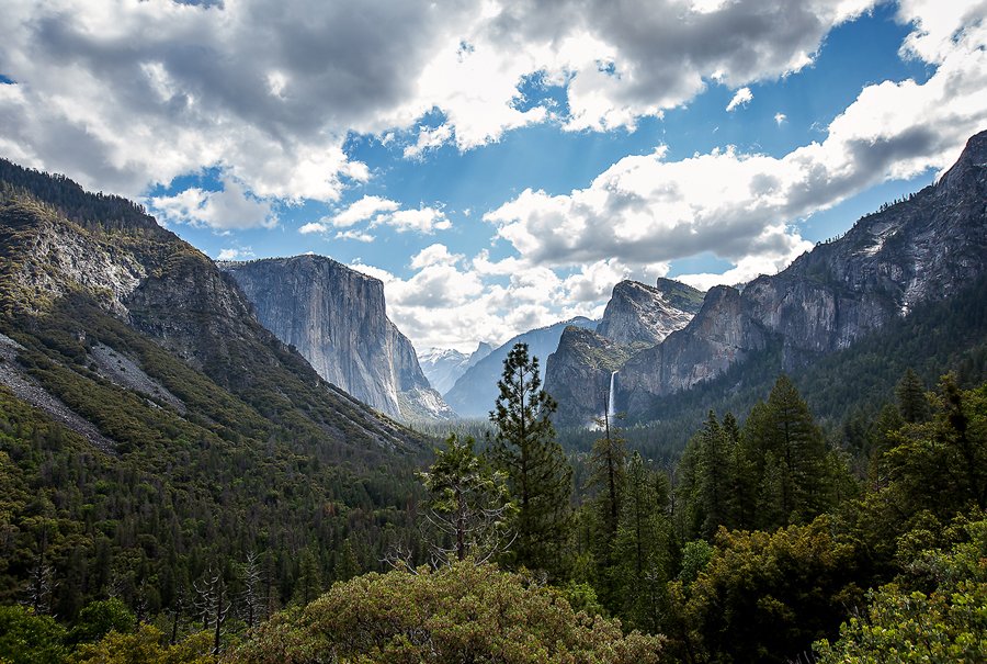 in 브라이덜 샤워 4-1 revised.jpg