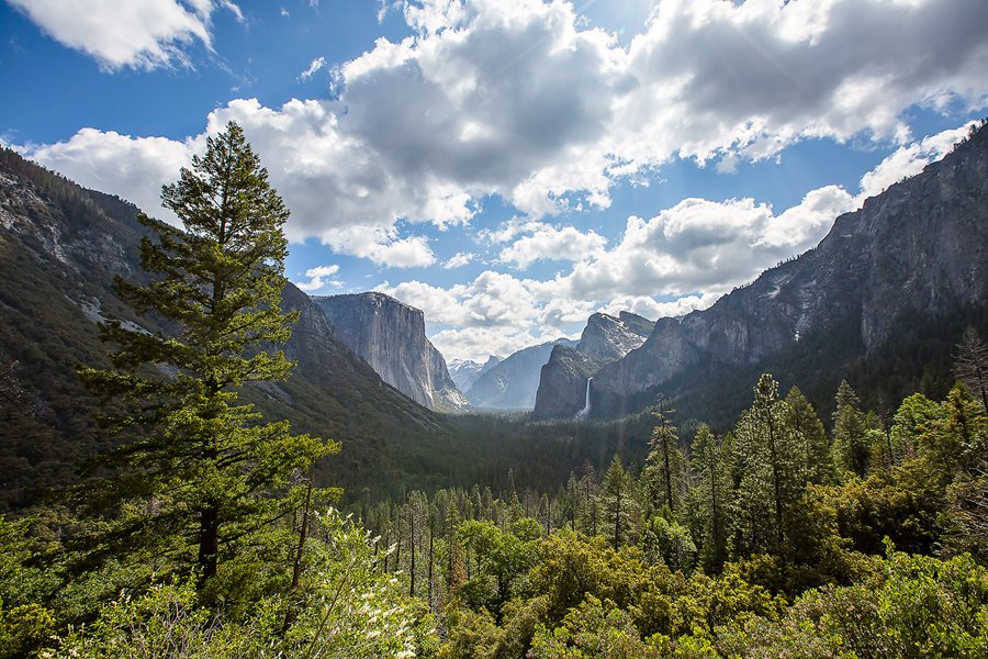 in 브라이덜 샤워 3-1.jpg