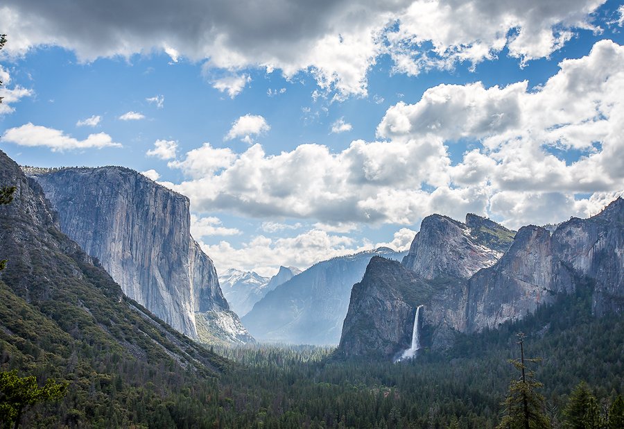 in 브라이덜 샤워 2-1.jpg