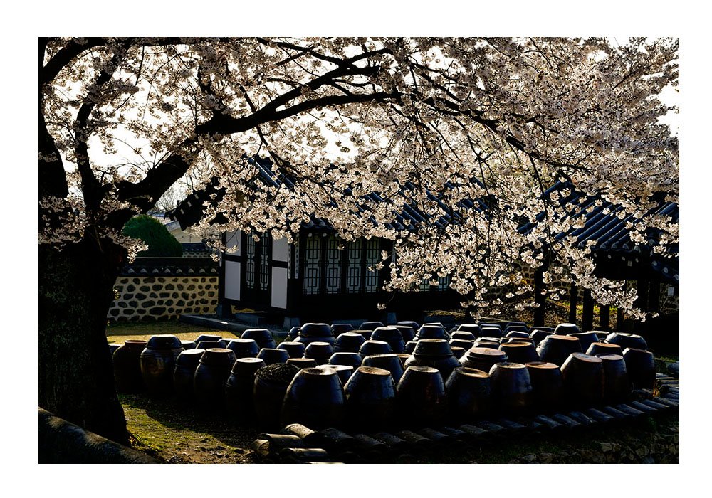 제목 없음-110.jpg