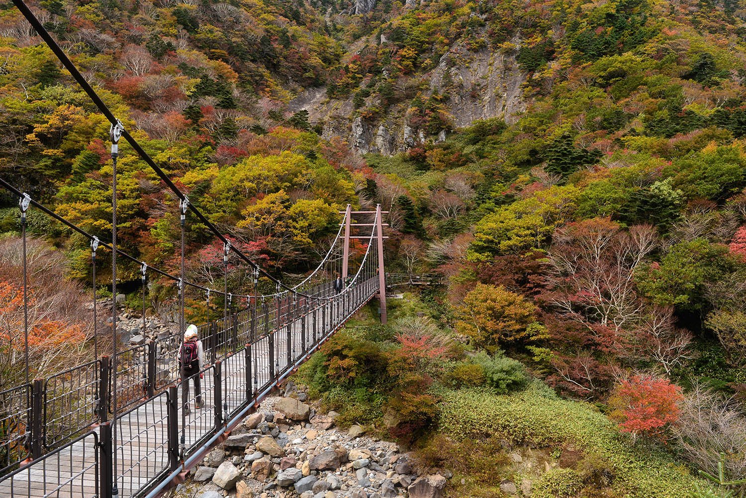 2016-10-15 12-00-17-162-16.jpg